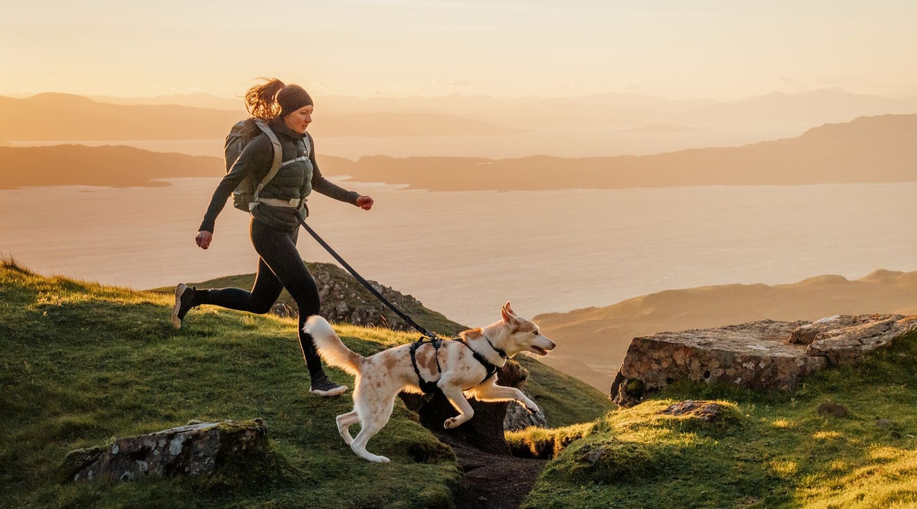 Which Ruffwear Harness Should You Buy? Front Range vs Flagline vs Web Master & More