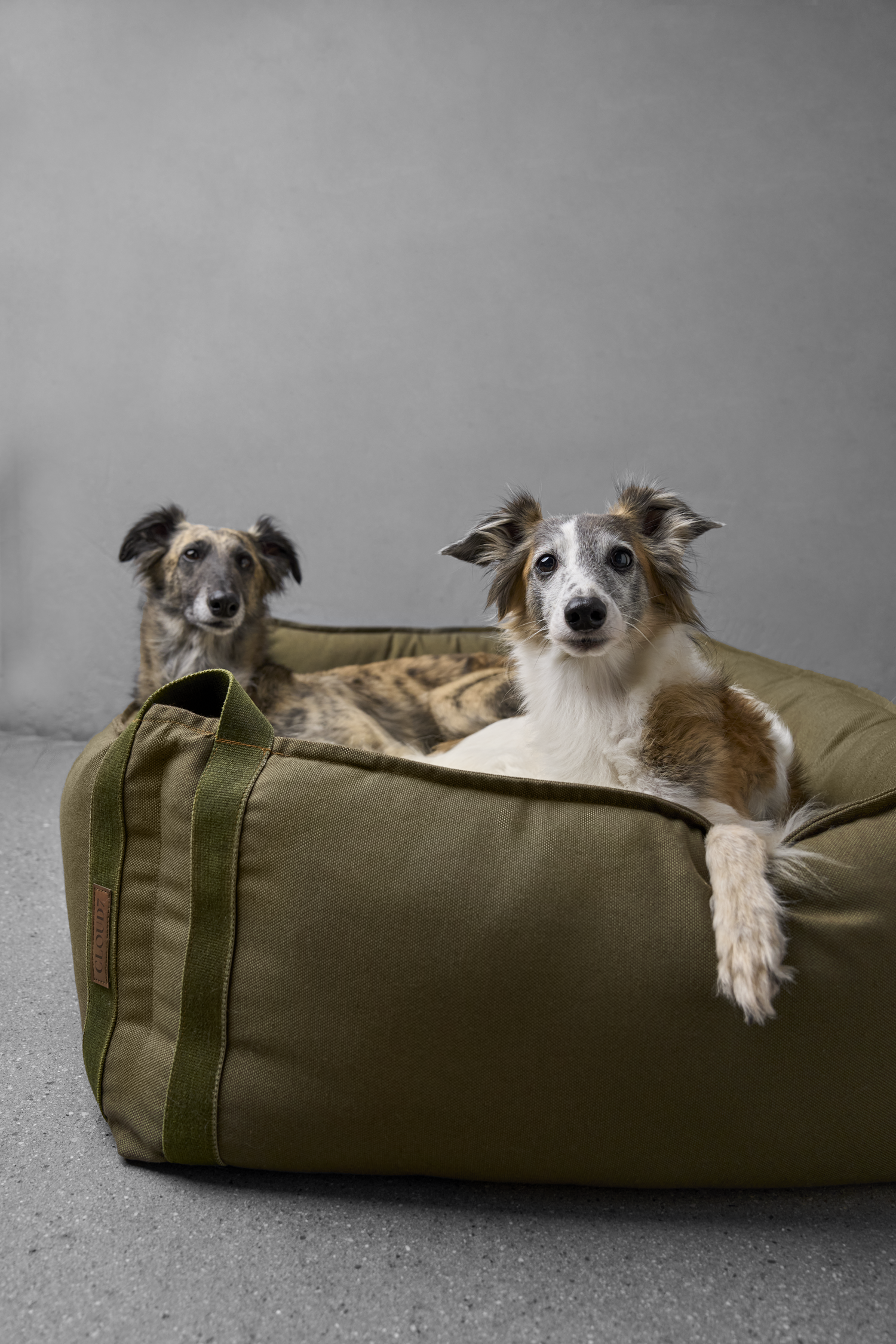 Cloud7 Bed Pre Order