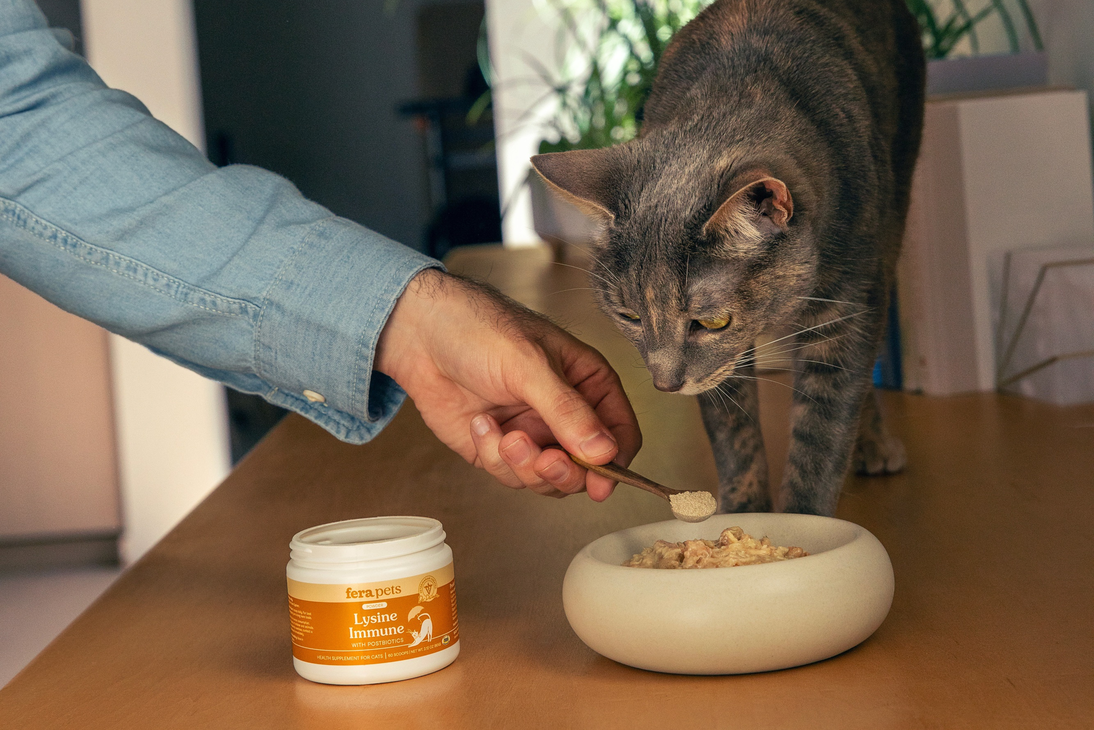 Fera Pet Organics Cat L-Lysine | Immune & Respiratory Support