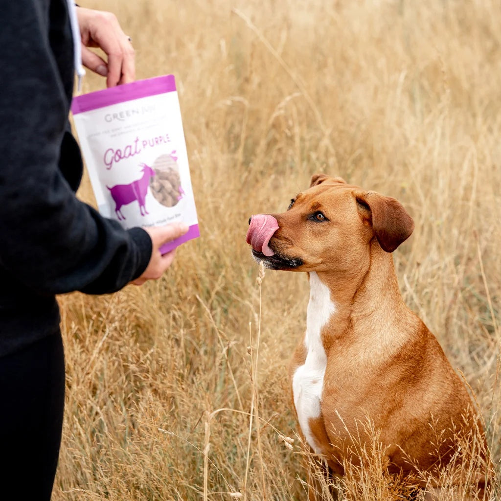 Green Juju Freeze Dried grass fed goat with organic blackberries purple cabbage and carrots pet food supplement