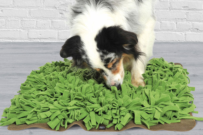 Knauder's Best, Sniff and Search Pads for Dogs