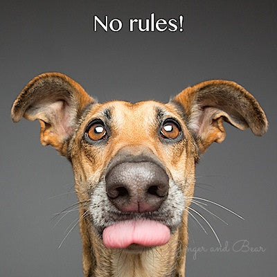 Wieselblitz Greeting Cards