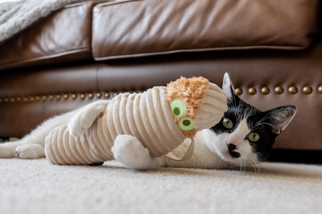 Fun and Engaging Cat Toys at Ginger and Bear