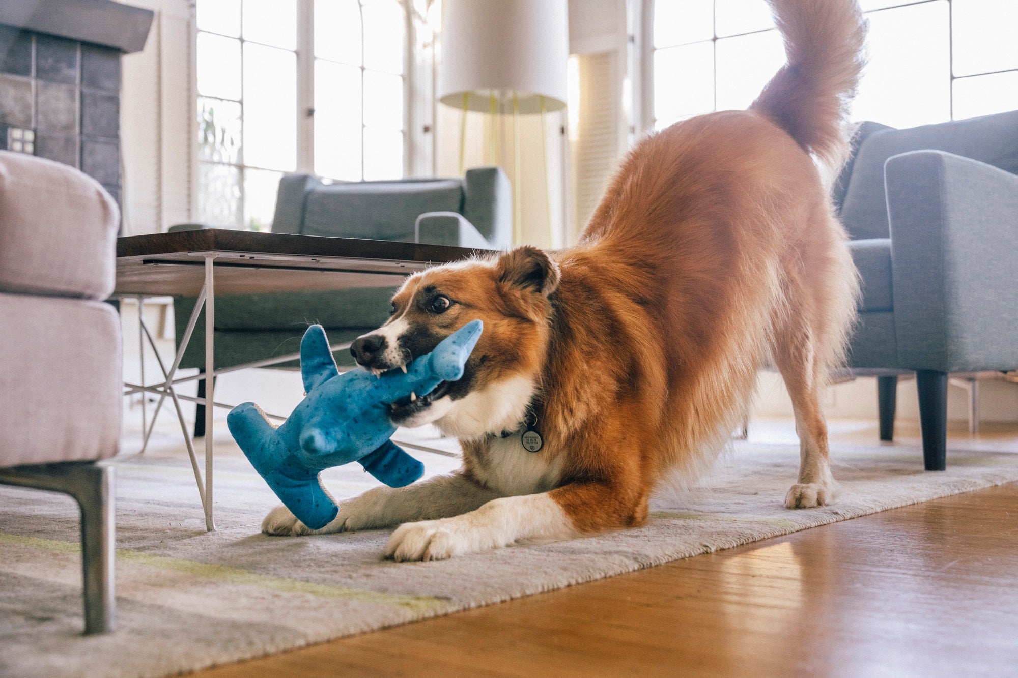 P.L.A.Y. Ocean Buddies Bonk the Hammerhead shark interactive plush dog toy with hidden treat pocket