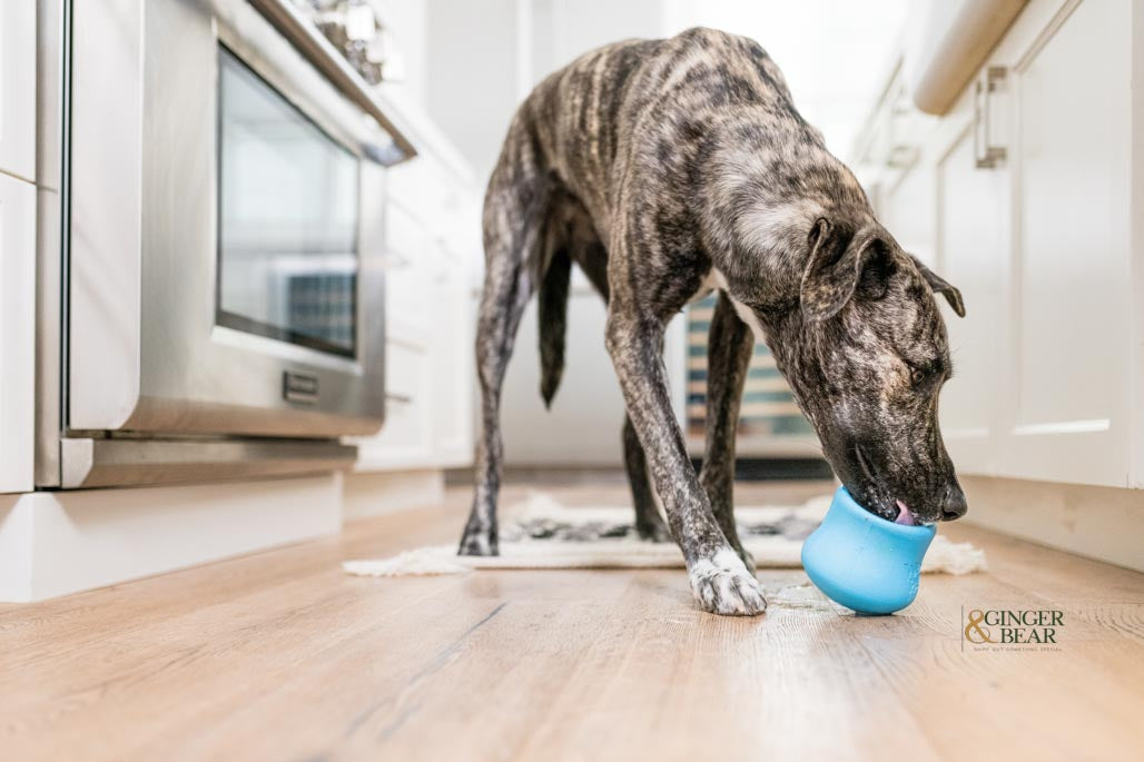 Best dog treat dispenser best sale