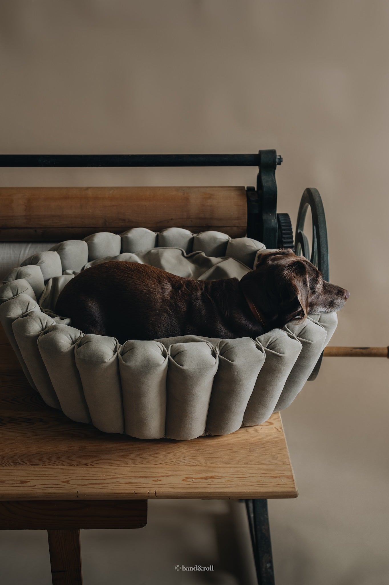 Band & Roll Haven Modern Dog Bed | Washable Cushion Dog Bed