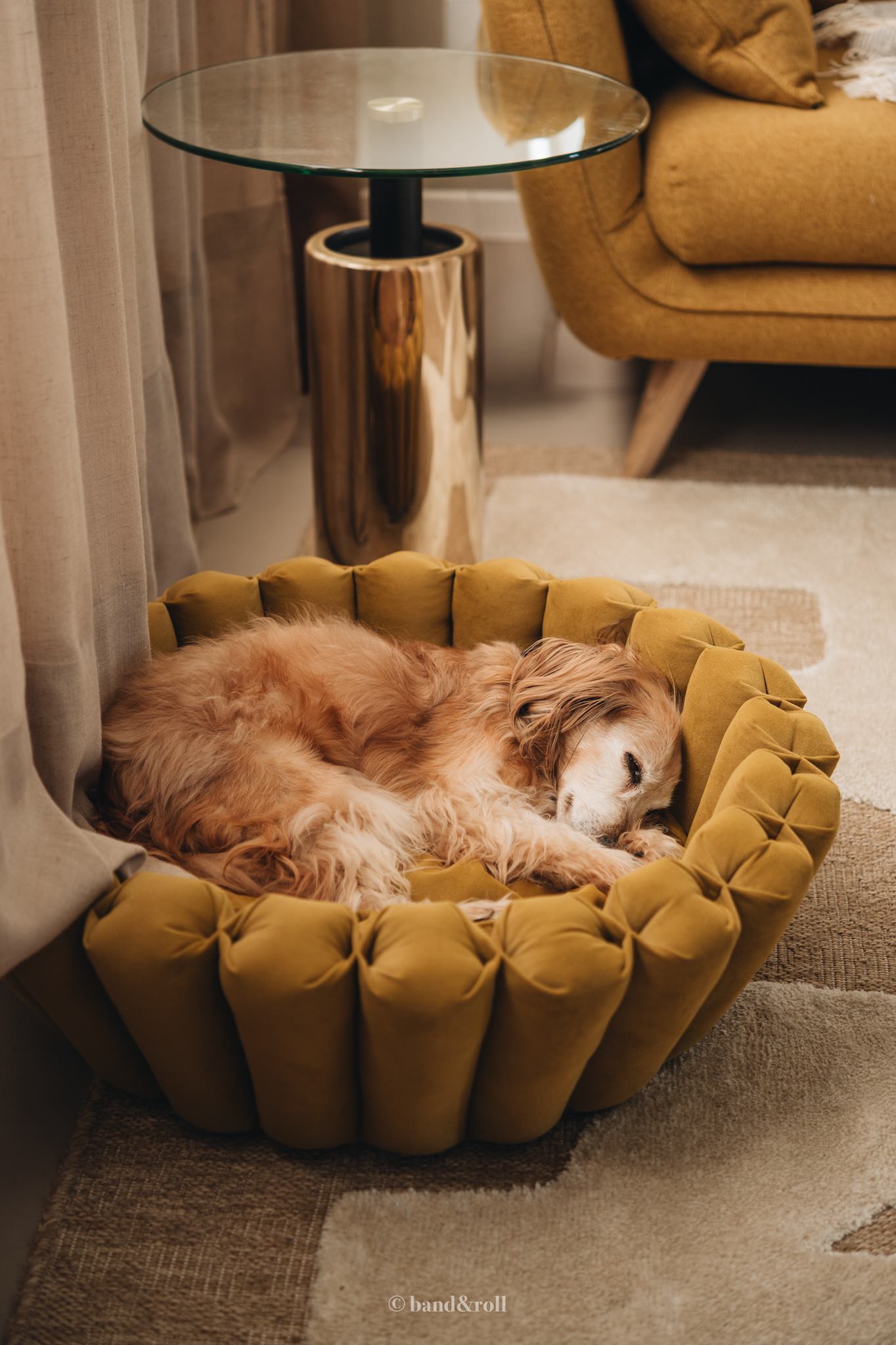 Band & Roll Haven Modern Dog Bed | Washable Cushion Dog Bed