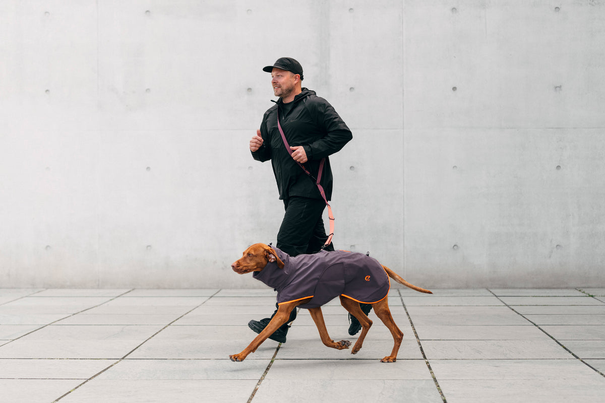 Cloud7 AKTIV fully reflective, premium windproof and water resistant active dog coat for heavy downpours