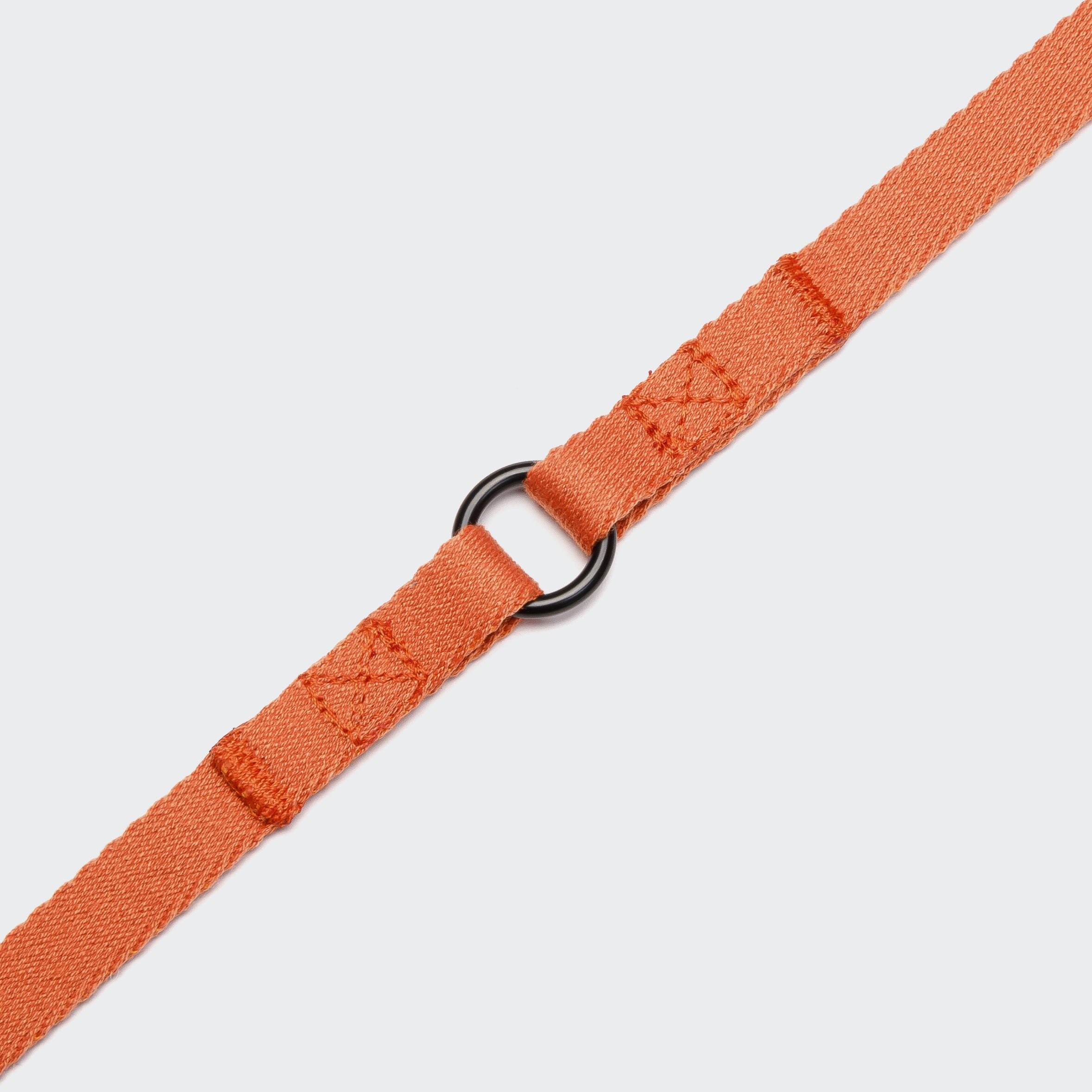 Cloud7 Holly Park adjustable dog leash in vibrant orange with matte black metal clips.