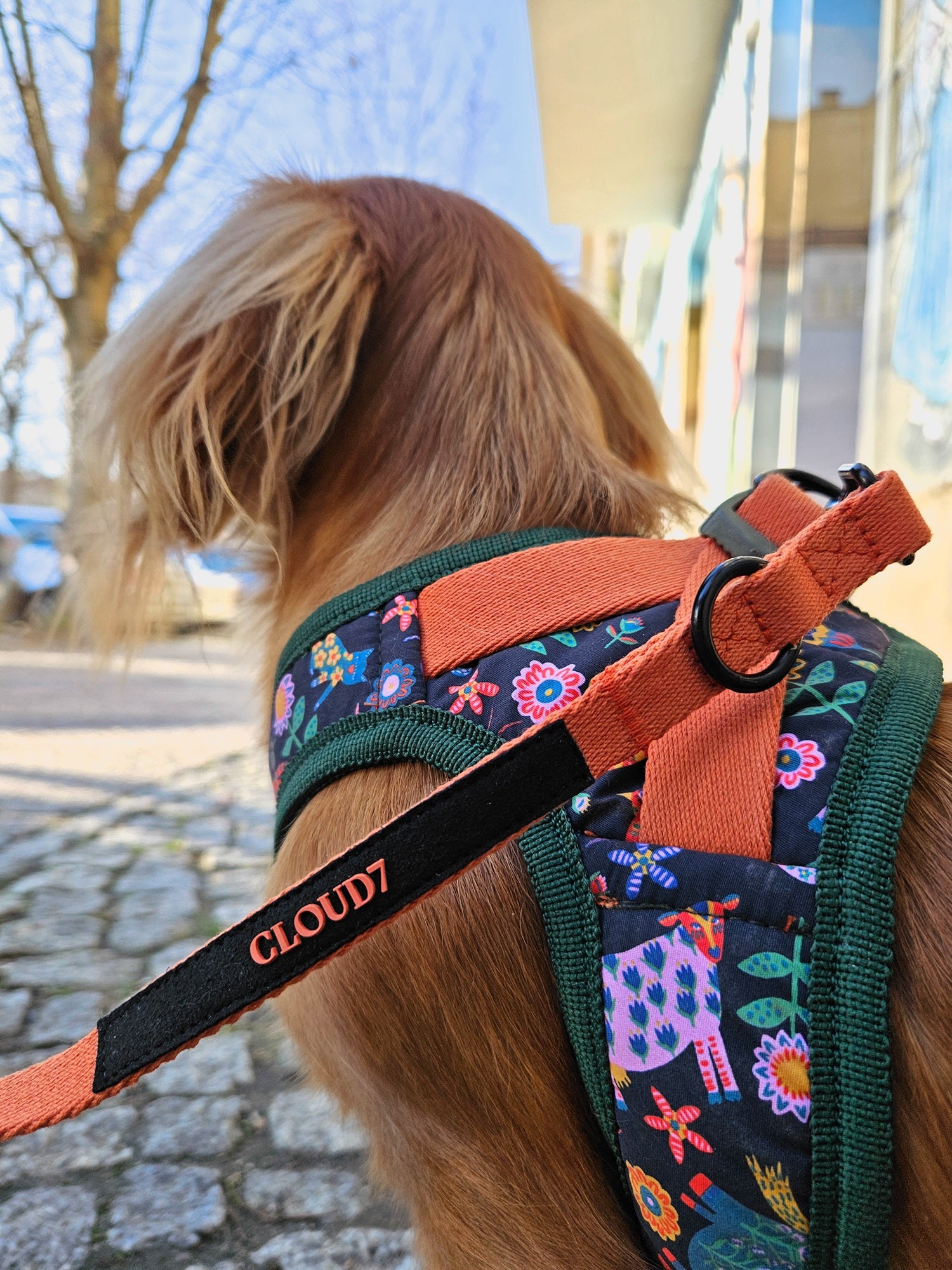 Cloud7 Holly Park adjustable dog leash in vibrant orange with matte black metal clips.