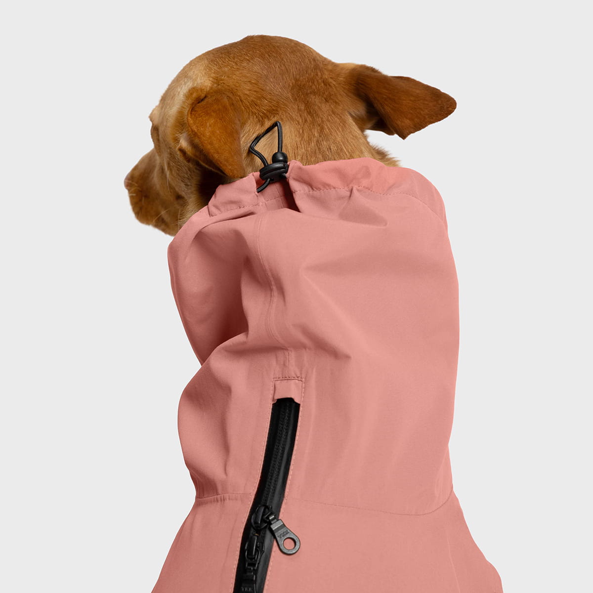 Minimalist faded rose dog rain jacket from the Cloud7 Dublin 2.0 eco-friendly pet outerwear collection.