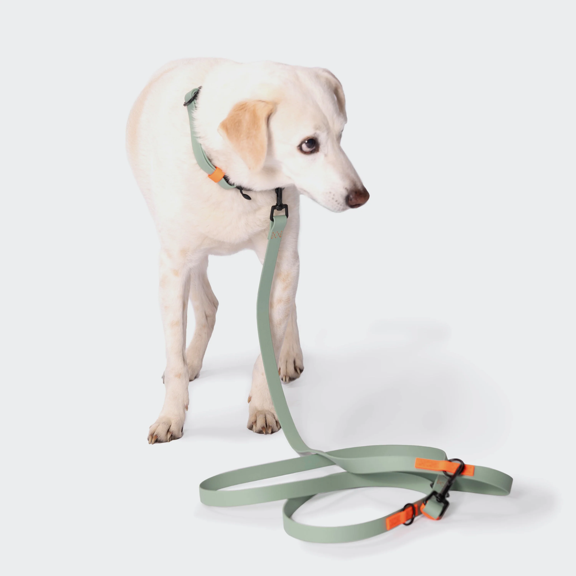 Cloud7: Hands Free Dog Leash BioThane Ipanema Mint-Neon Orange