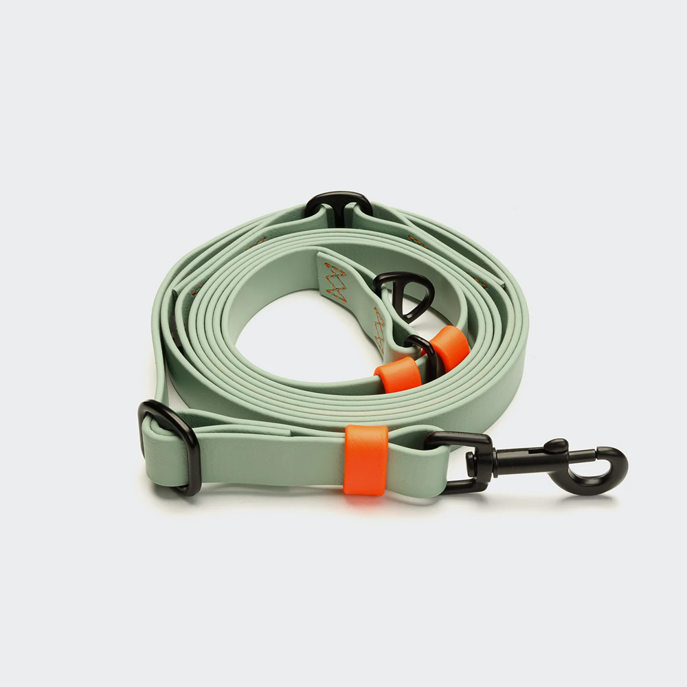 Cloud7: Hands Free Dog Leash BioThane Ipanema Mint-Neon Orange