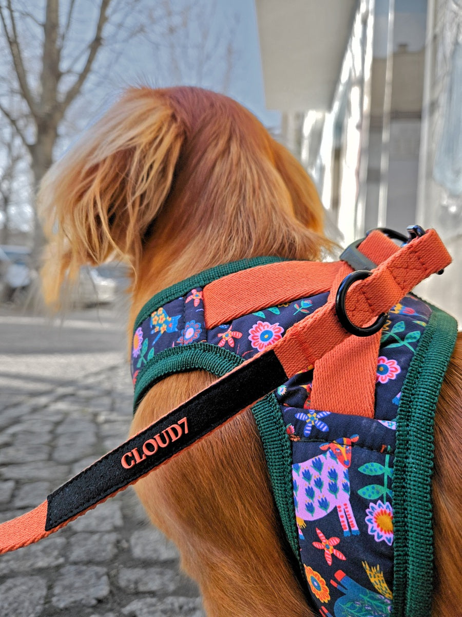Cloud7 Holly Park step-in dog harness featuring Liberty London floral animal print and orange mesh lining.