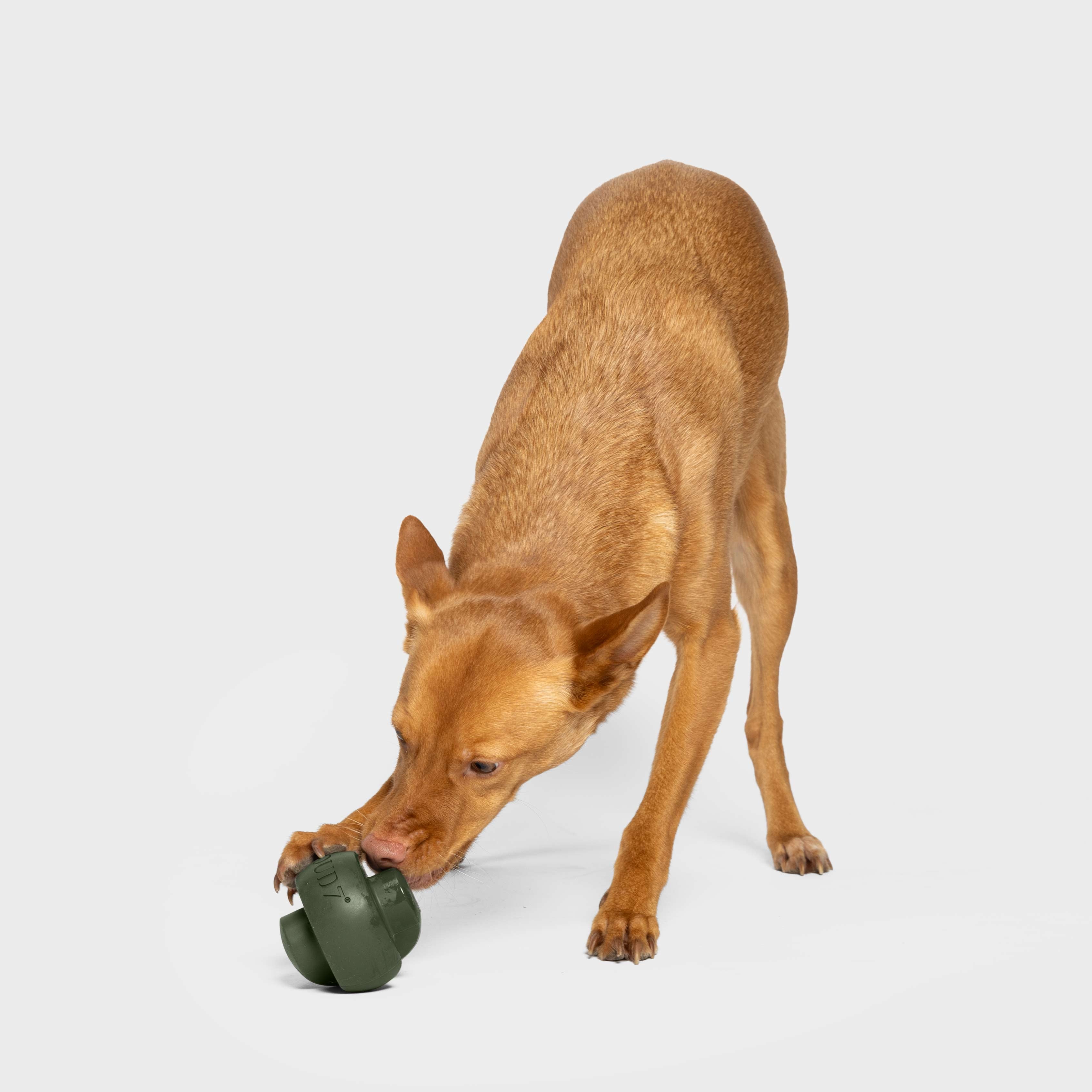 Cloud7 Zeno interactive treat dispensing dog toy in Dark Olive made of durable bite-resistant rubber.