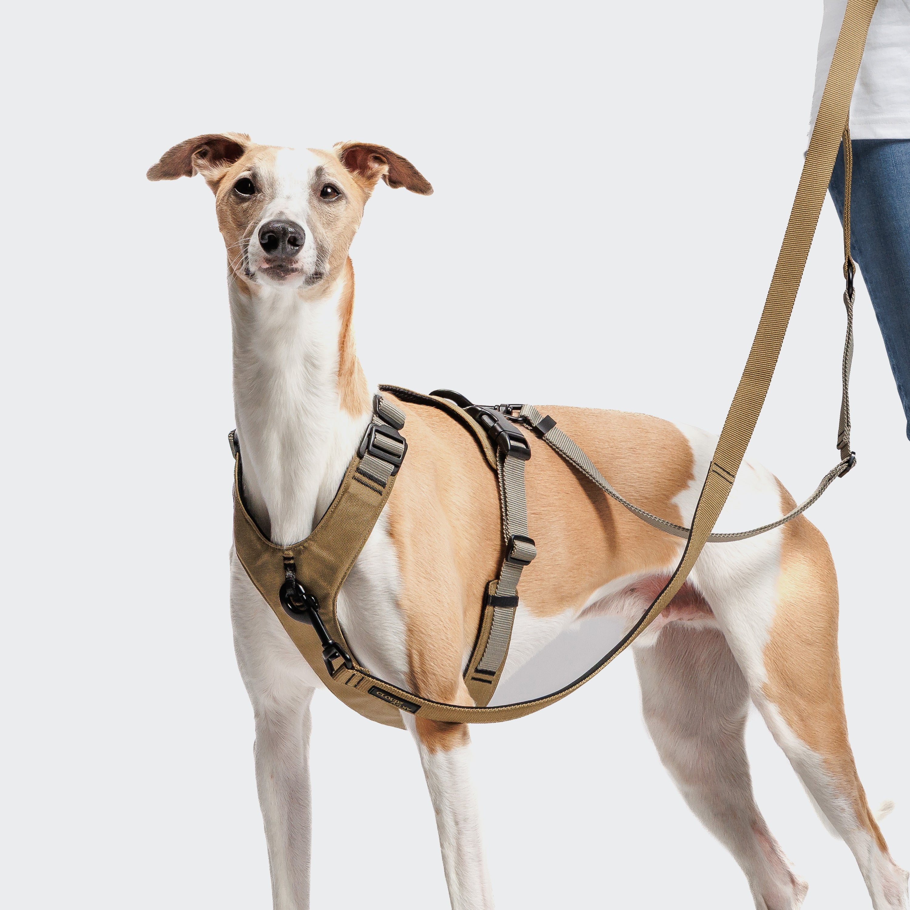 Cloud7: L-1 AKTIV Hands-Free Dog Leash, Khaki/Grey