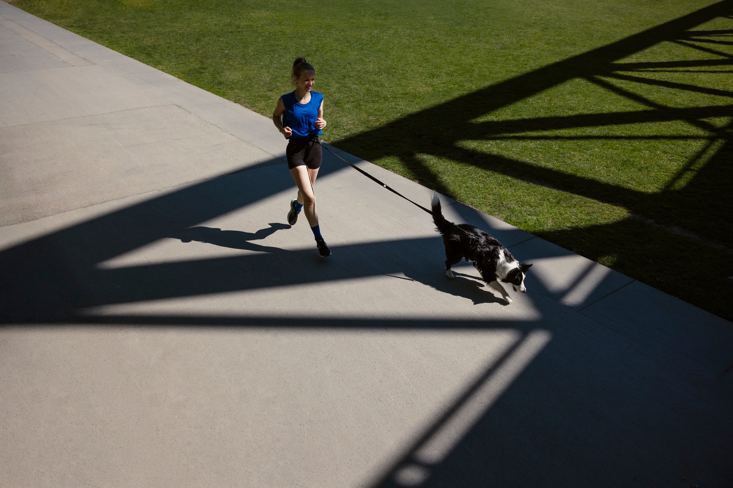 Cloud7: L-2 AKTIV Jogging Dog Leash, Olive