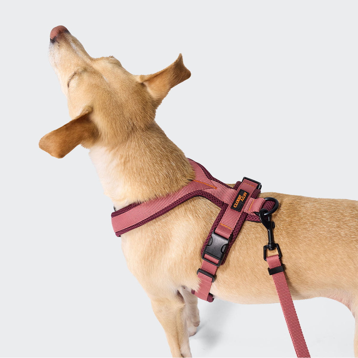 Cloud7 Y-1 AKTIV air mesh dog harness with front attachment clip for anti pull control