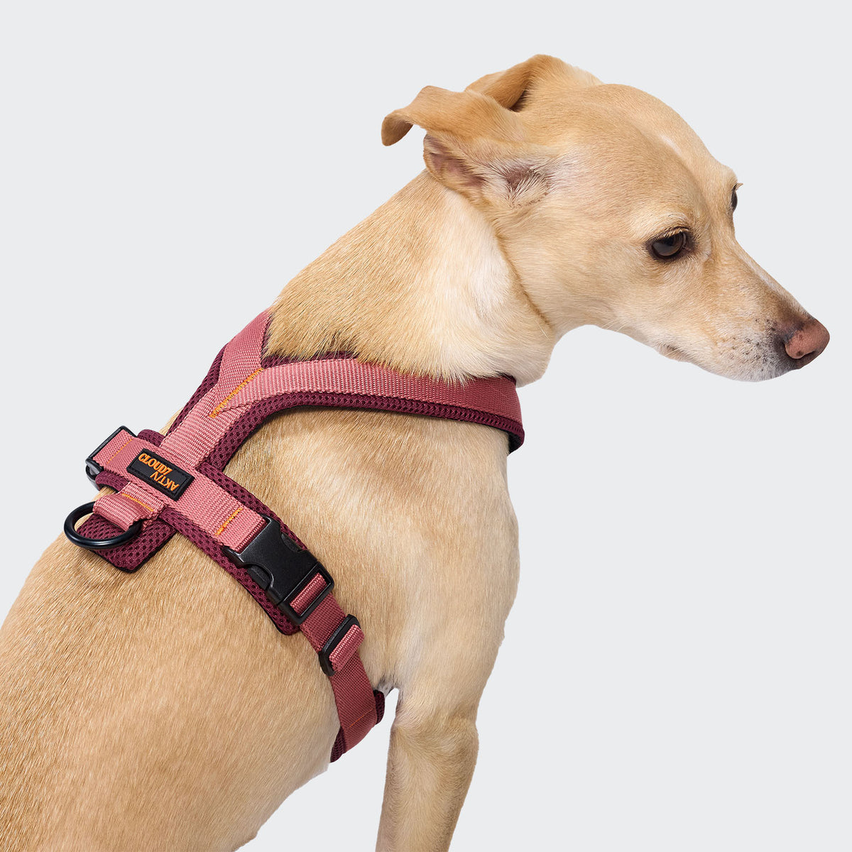 Cloud7 Y-1 AKTIV air mesh dog harness with front attachment clip for anti pull control