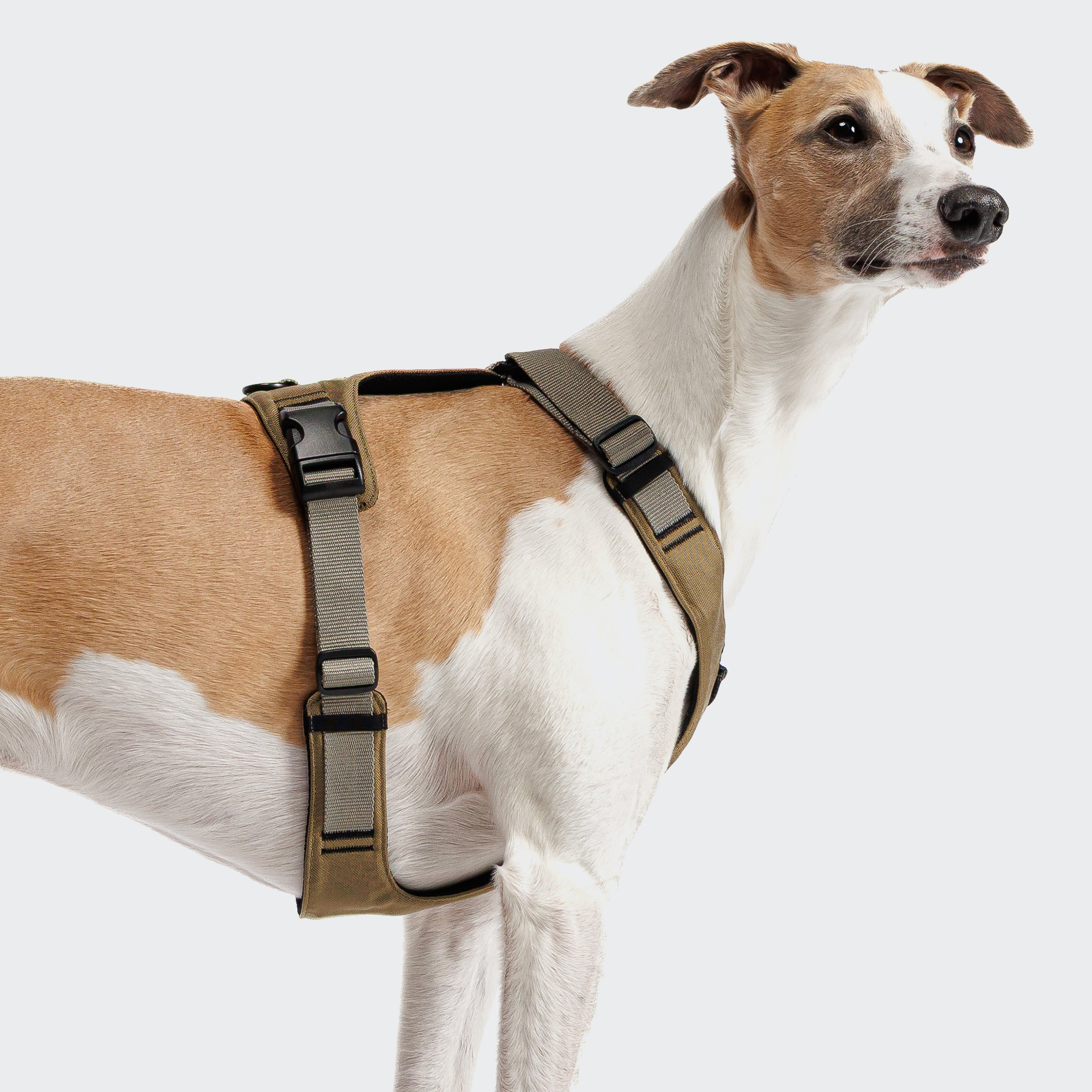 Cloud7 Y-2 AKTIV Cordura Dog Harness, Khaki | Padded & Water-Repellent