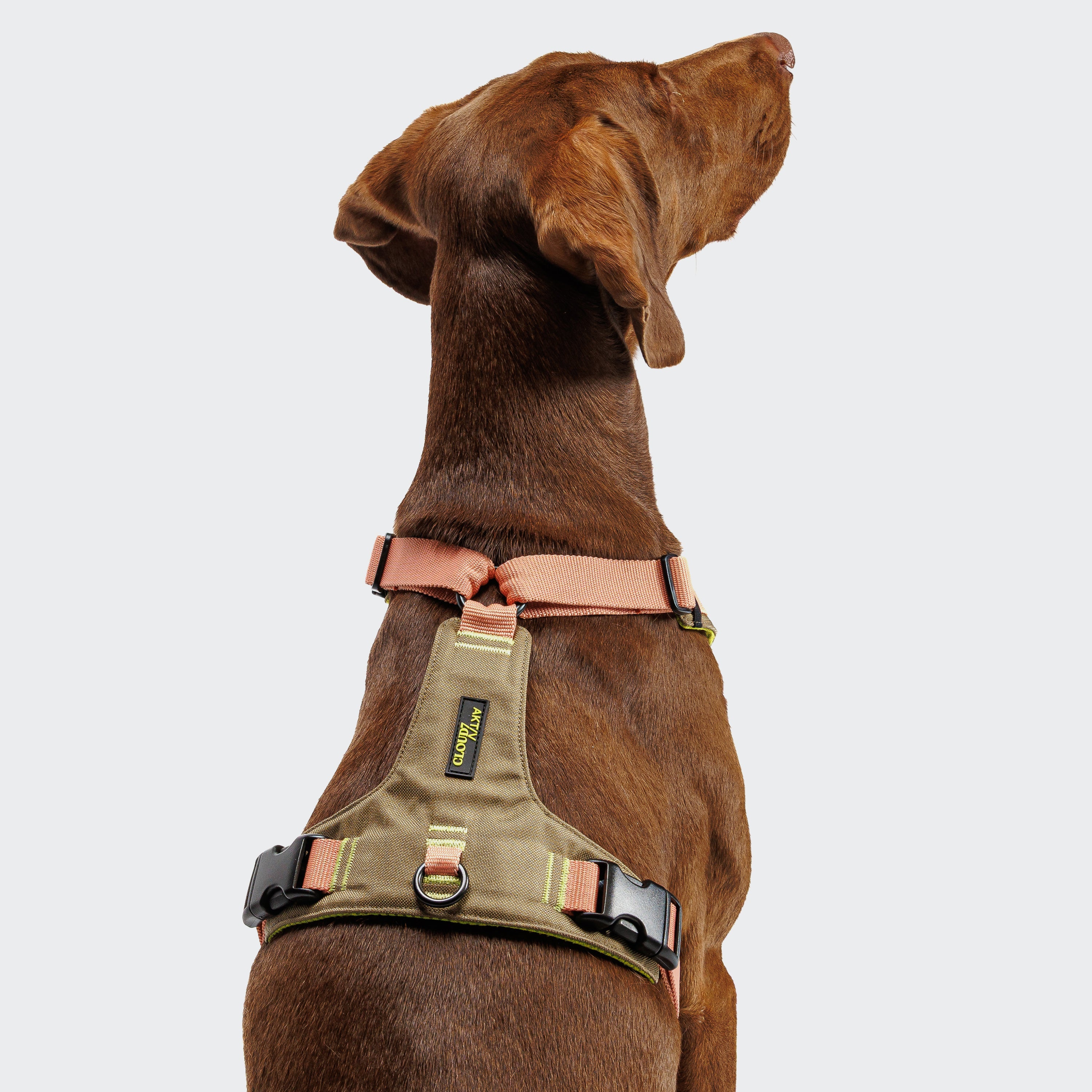 Cloud7 Y-2 AKTIV Cordura Dog Harness, Peach | Padded & Water-Repellent
