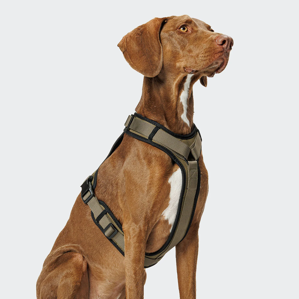 Cloud7: Y-3 AKTIV Softshell Dog Harness, Olive