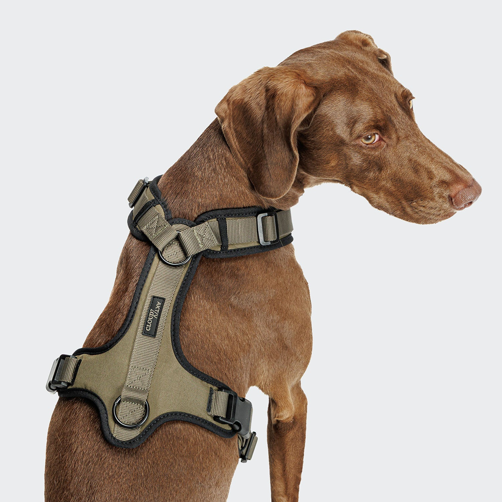 Cloud7: Y-3 AKTIV Softshell Dog Harness, Olive