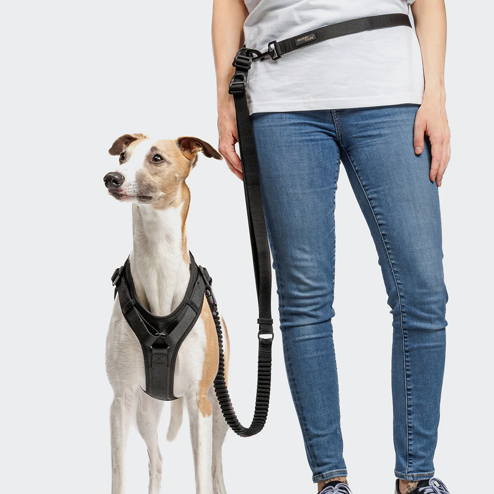 Cloud7: Y-3 AKTIV Softshell Dog Harness, Black