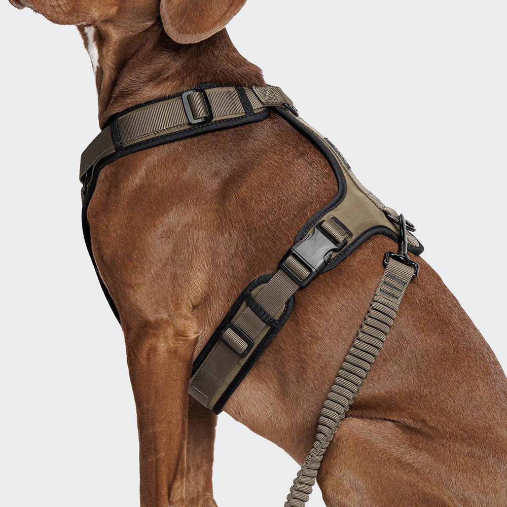 Cloud7: Y-3 AKTIV Softshell Dog Harness, Olive