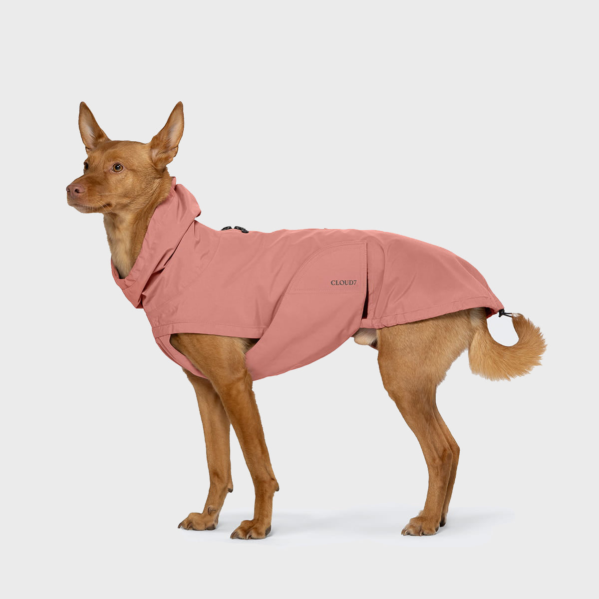 Minimalist faded rose dog rain jacket from the Cloud7 Dublin 2.0 eco-friendly pet outerwear collection.