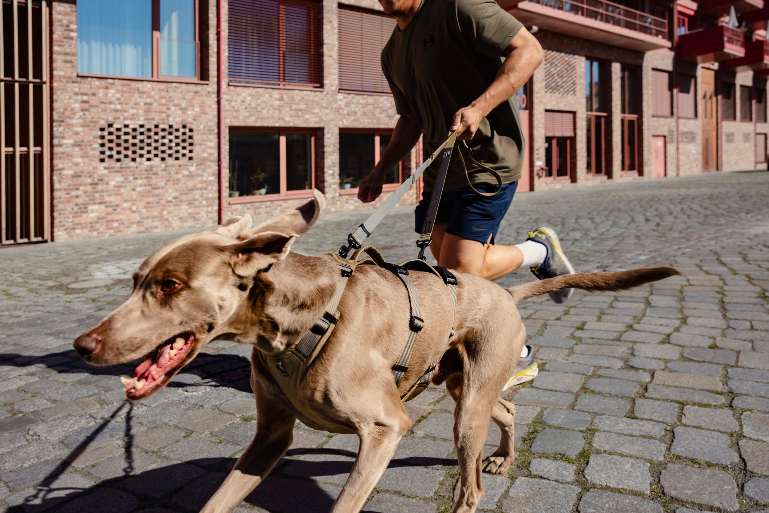 Cloud7: L-1 AKTIV Hands-Free Dog Leash, Khaki/Grey