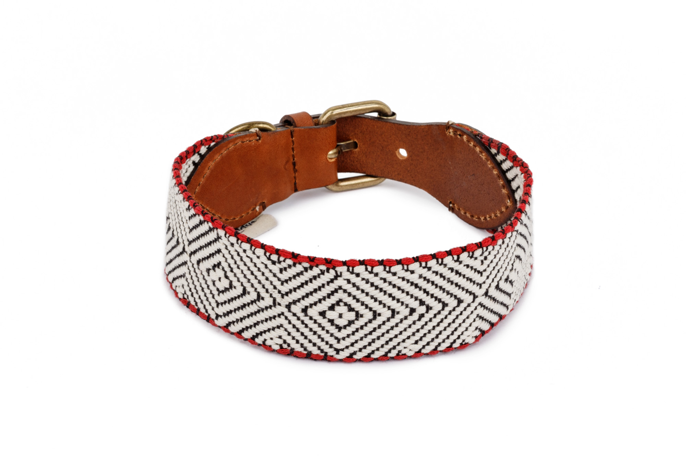 Dog Collar: Capri Beach Day