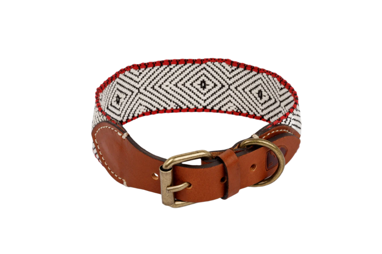 Dog Collar: Capri Beach Day