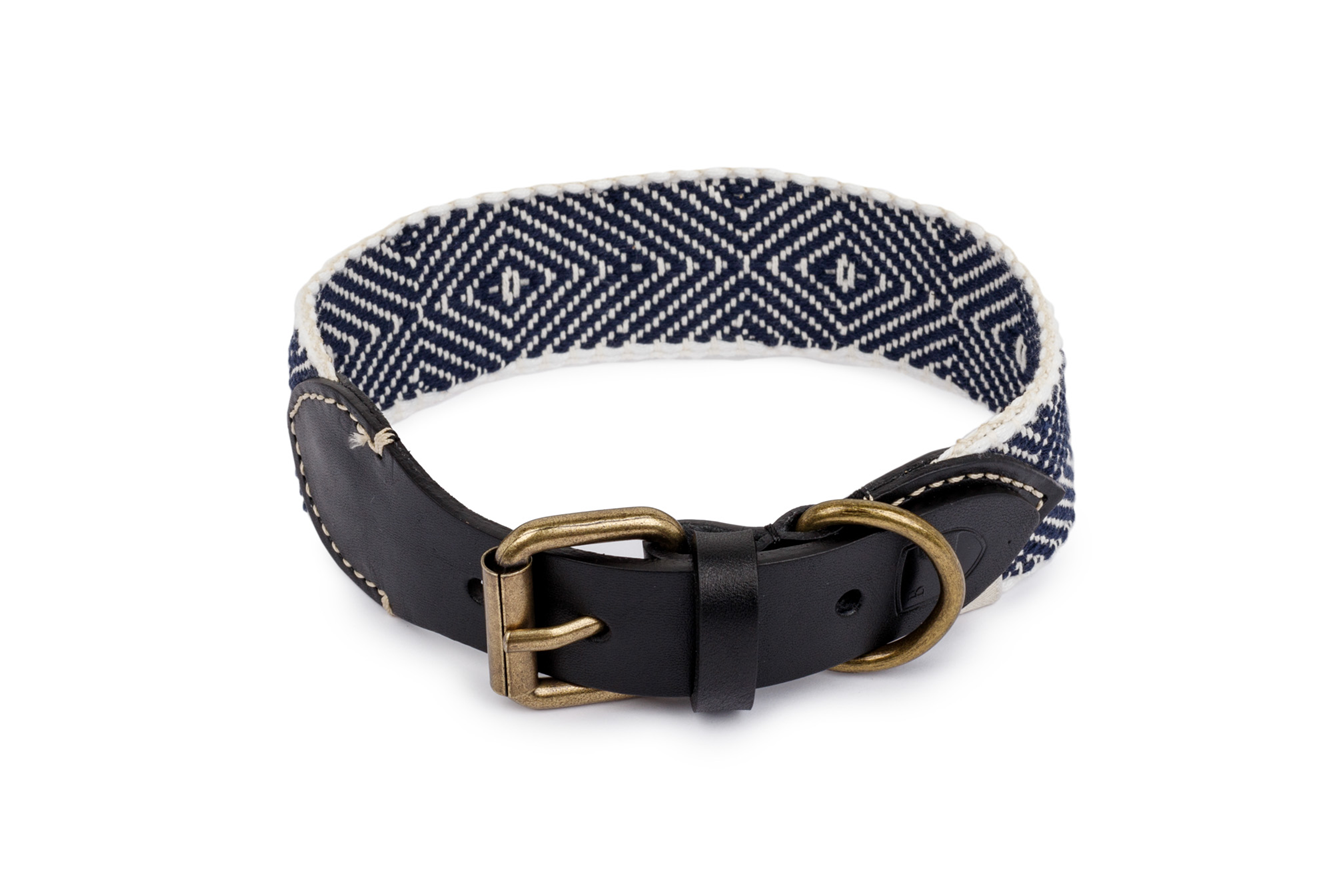 Dog Collar: Capri Party Night