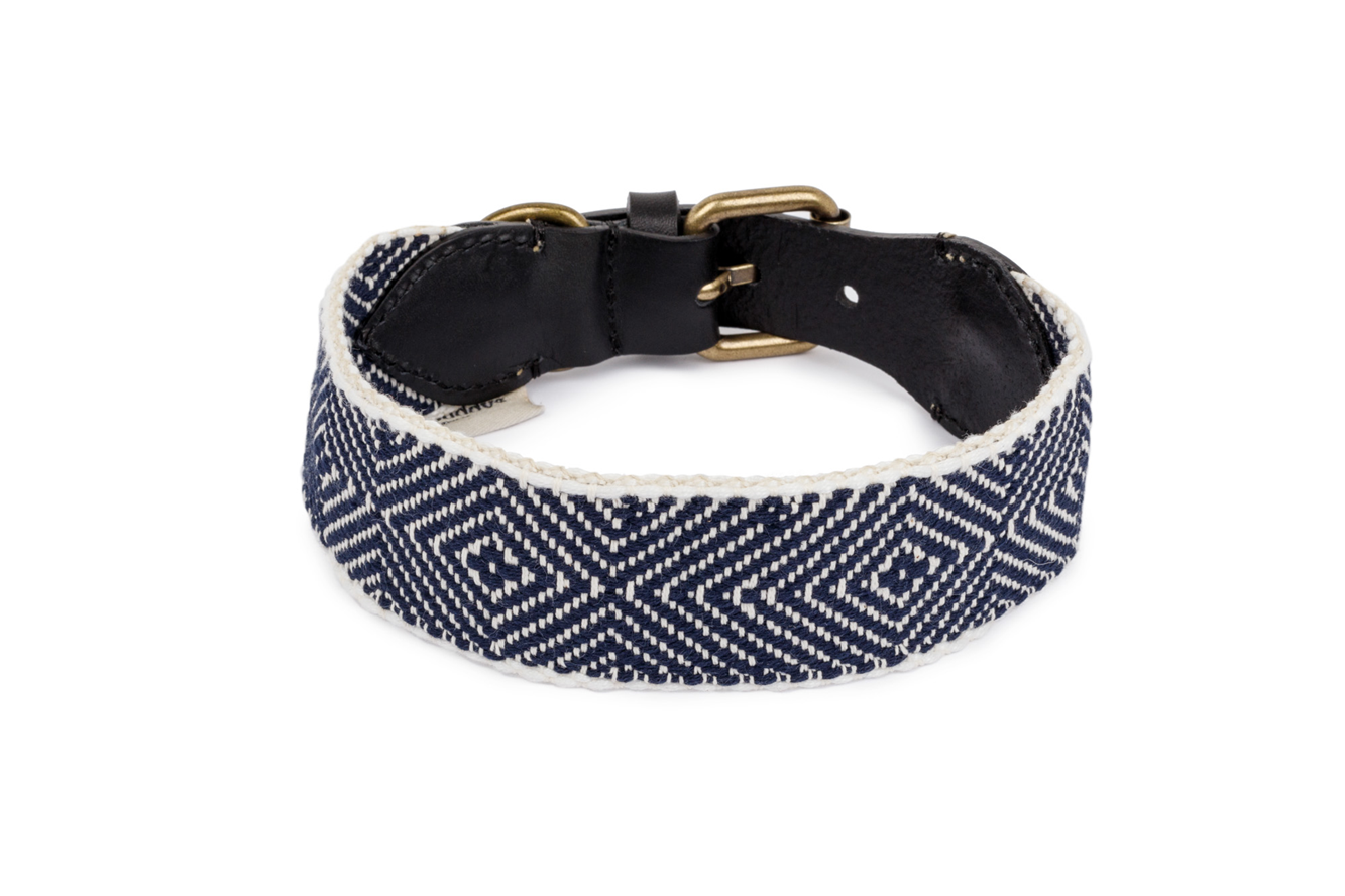 Dog Collar: Capri Party Night