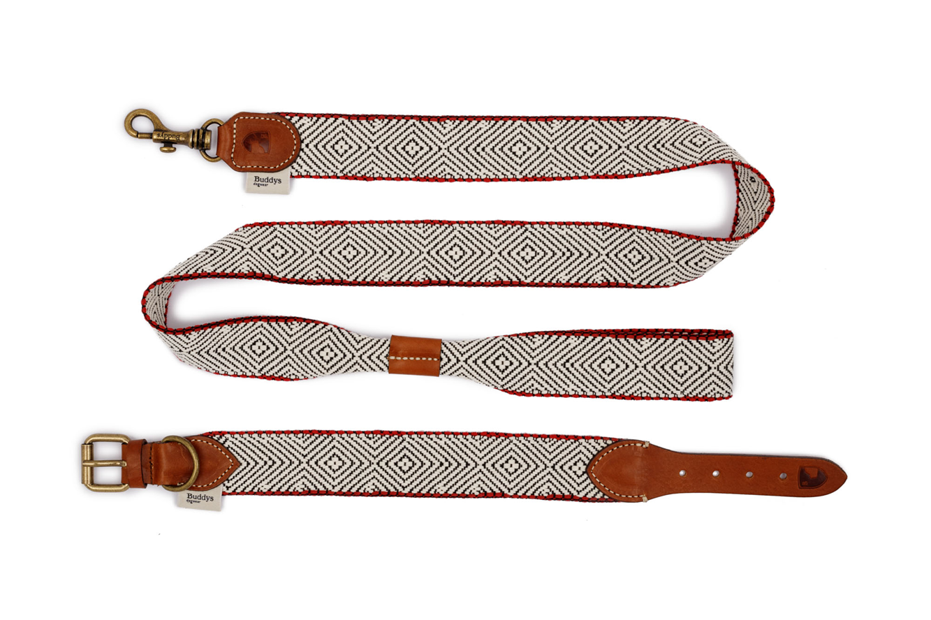 Dog Lead: Capri Beach Day