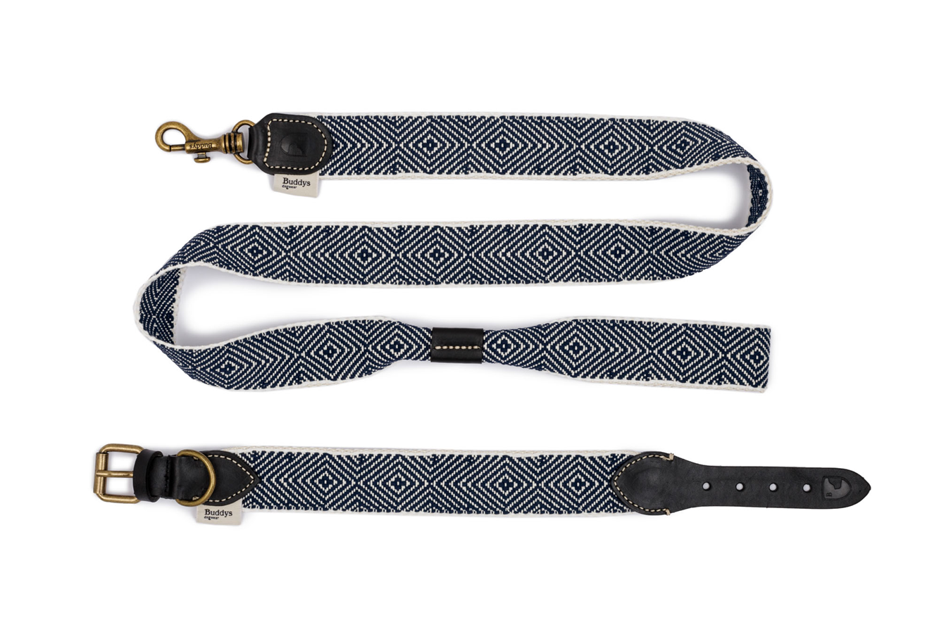 Dog Lead: Capri Party Night