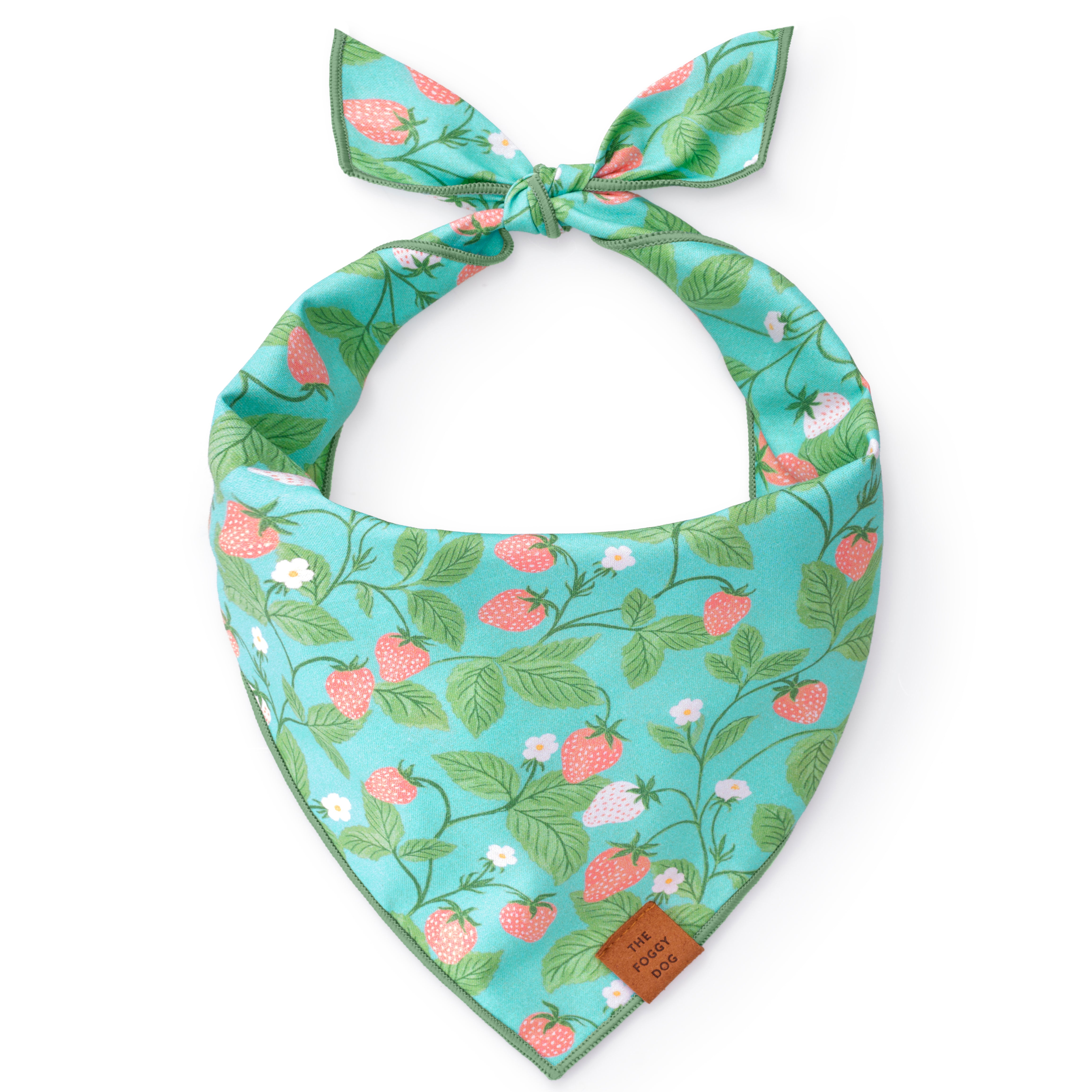 Dog and Cat Bandana: Berry Patch