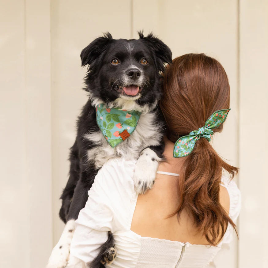 Dog and Cat Bandana: Berry Patch