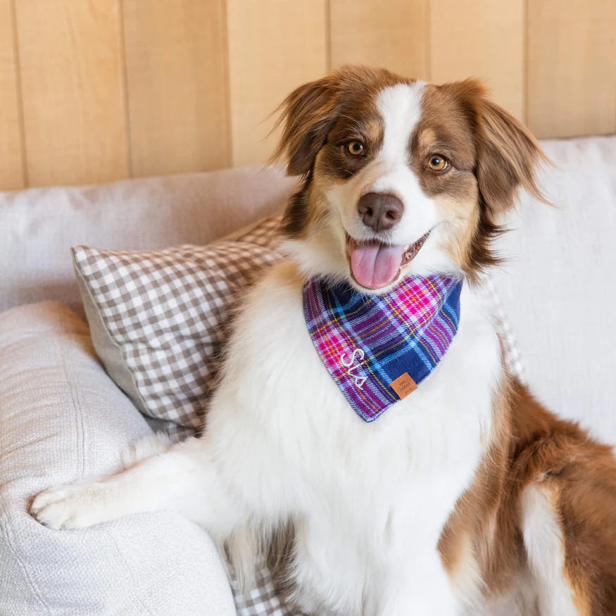 Dog and Cat Bandana: Camilla Plaid Flannel