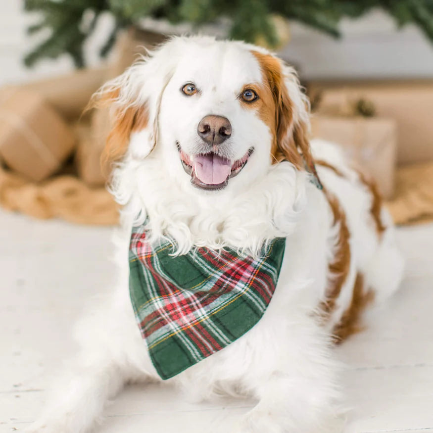 Dog and Cat Bandana: Holly Jolly Flannel