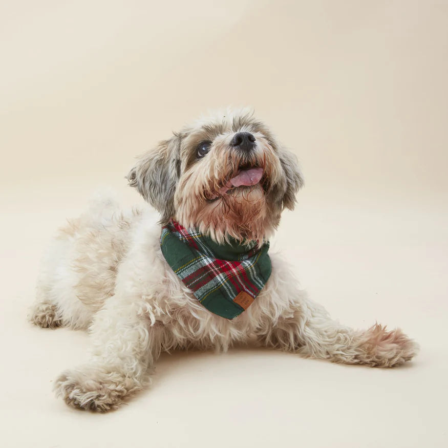 Dog and Cat Bandana: Holly Jolly Flannel