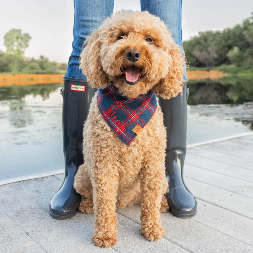 Dog and Cat Bandana: Kingston Plaid Flannel