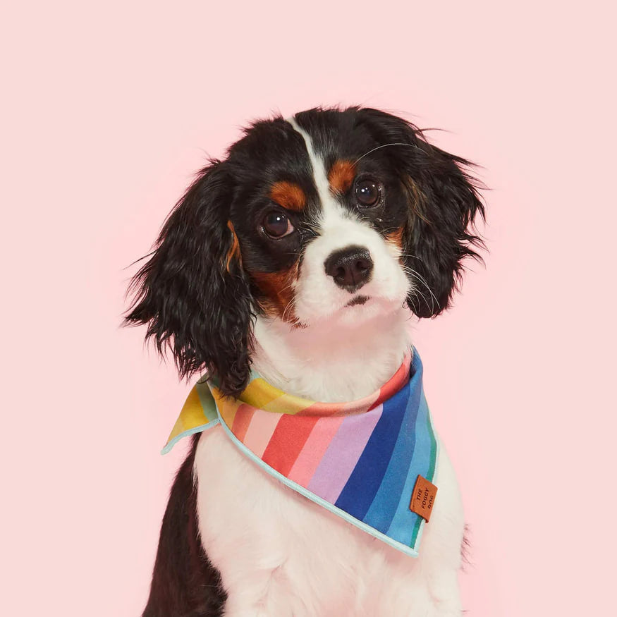 Dog and Cat Bandana: Over the Rainbow