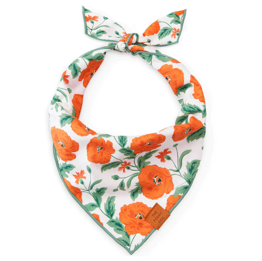Dog and Cat Bandana: Poppies