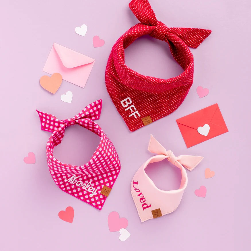 Dog and Cat Bandana: Raspberry Gingham