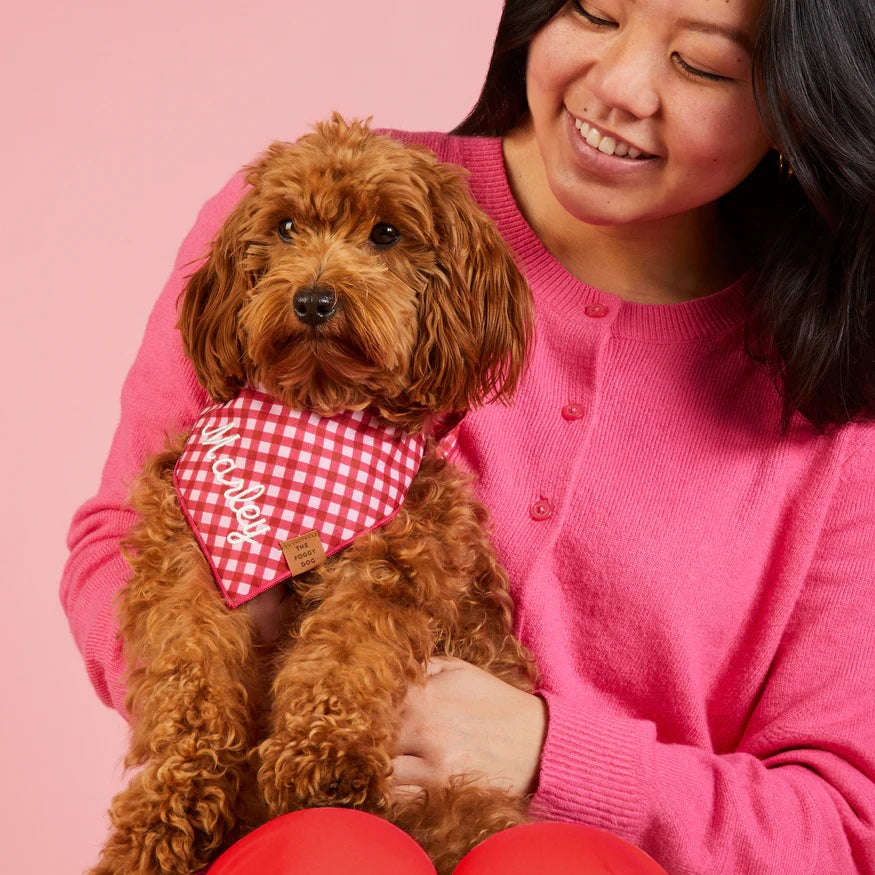 Dog and Cat Bandana: Raspberry Gingham
