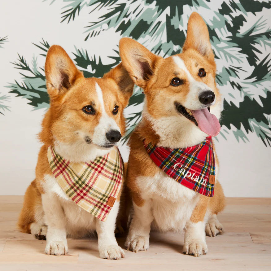 Dog and Cat Bandana: Eggnog Plaid Flannel