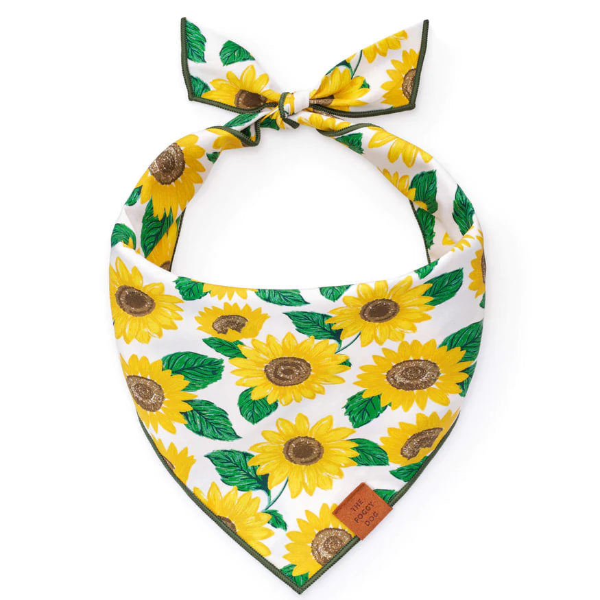 Dog and Cat Bandana: You are My Sunshine