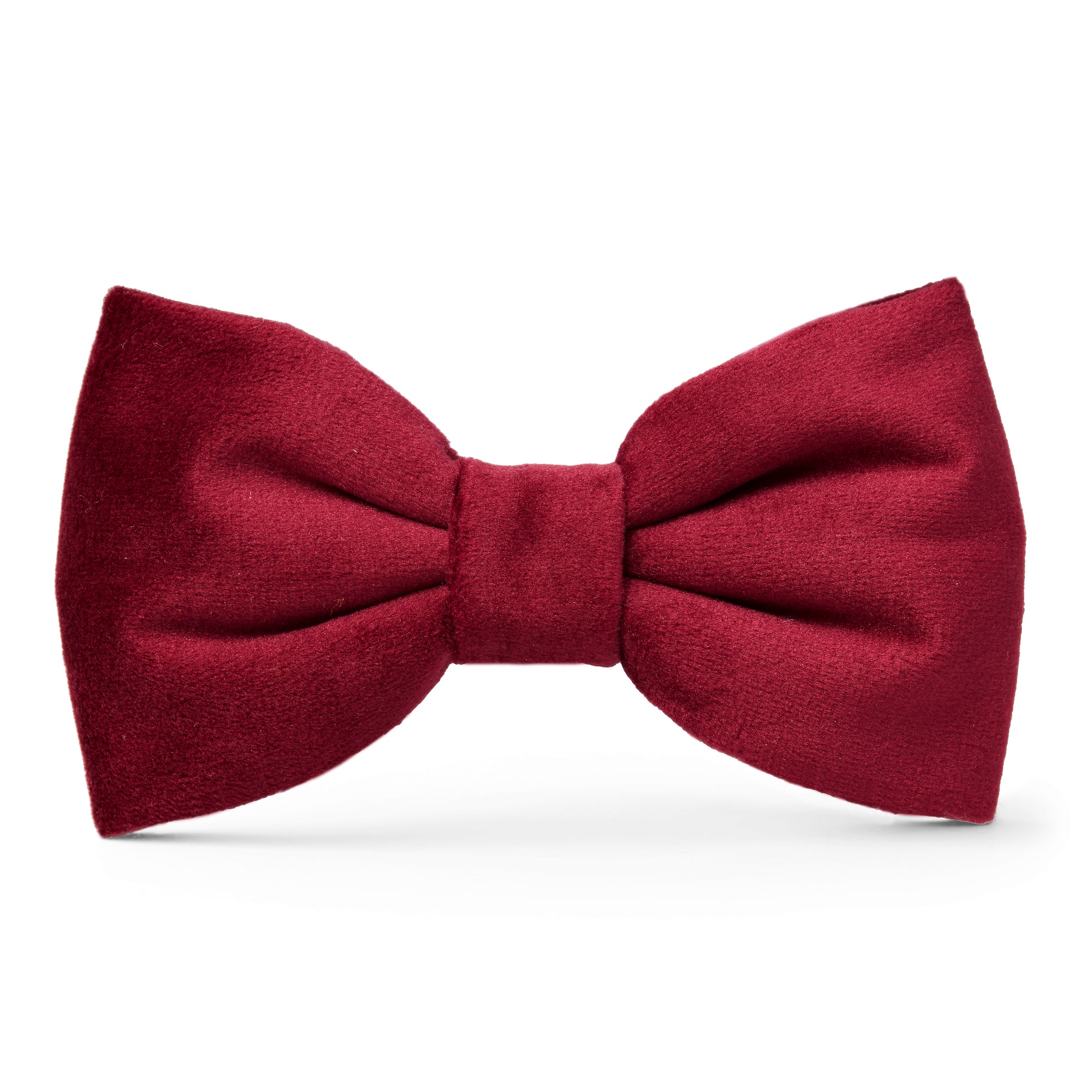 Dog and Cat Bowtie: Burgundy Velvet